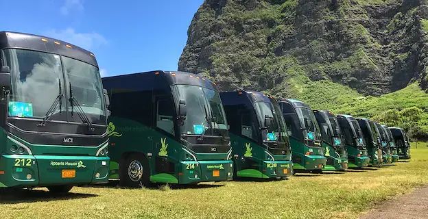 A line of Robert's Hawaii motorcoaches parked below the cliffs on O'ahu